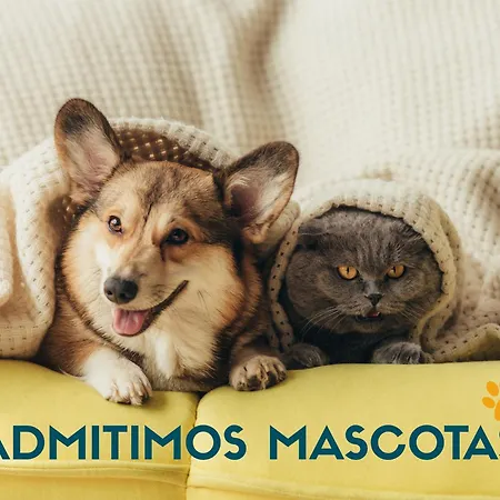 Διαμέρισμα Revo Salinas 3000