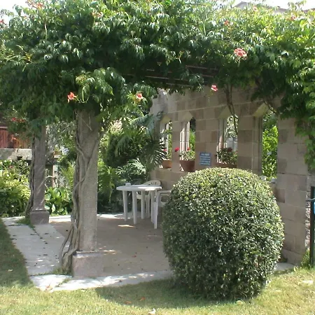 Revo Salinas 3000 * A Revolta