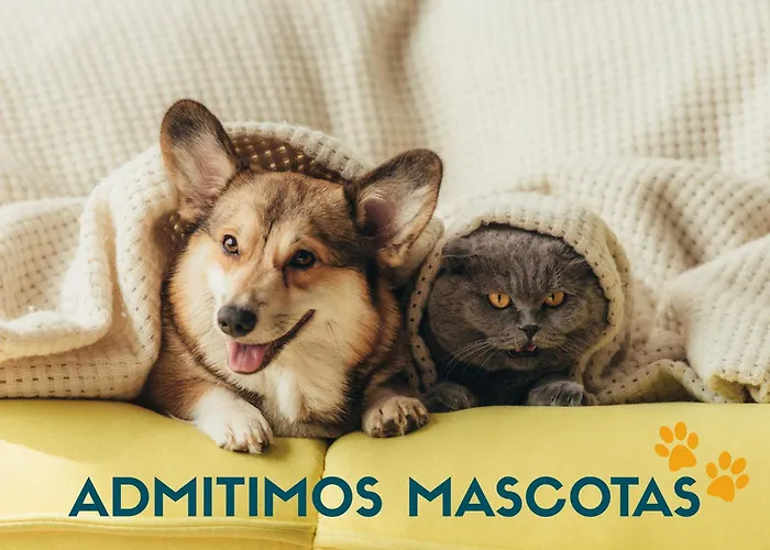 Lejlighed Revo Salinas 3000