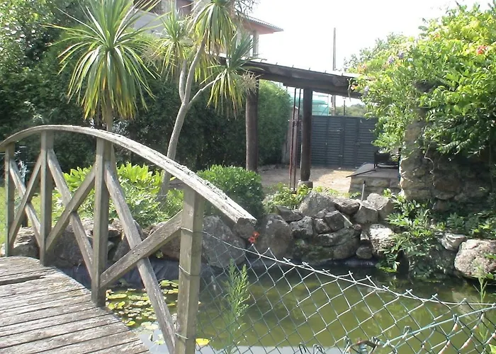 Revo Salinas 3000